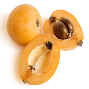 loquat