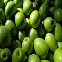Olive Fruit