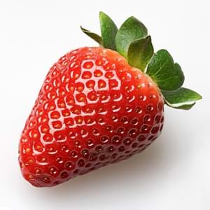 strawberry scientific classification